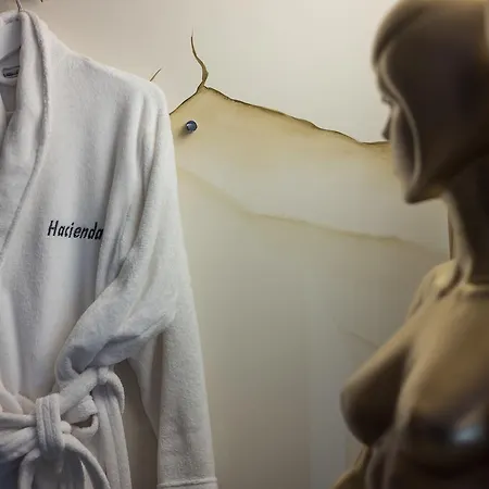 Maison d'hôtes Hacienda La Demeure