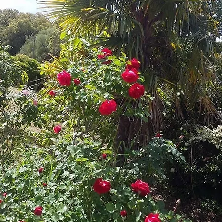 Hacienda La Demeure