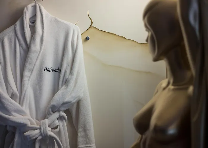 招待所 Hacienda La Demeure