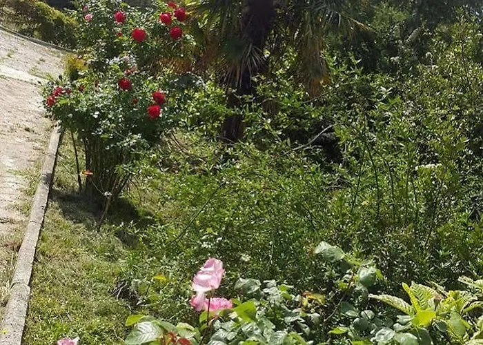 Hacienda La Demeure 招待所 4*