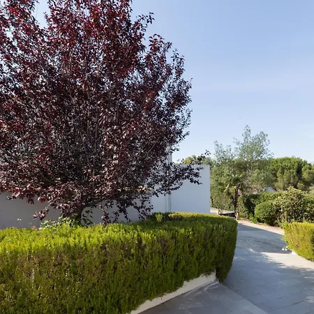 Hacienda La Demeure 招待所 4*