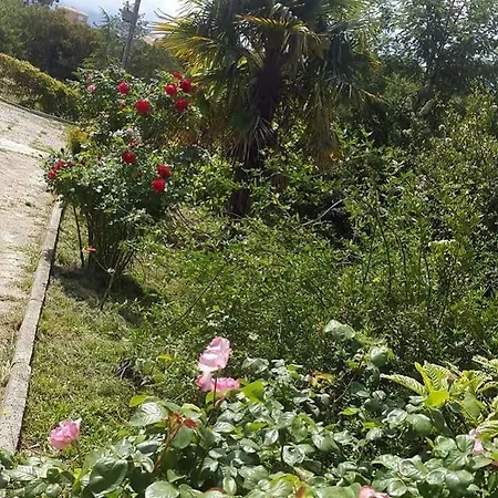 Hacienda La Demeure 招待所 4*