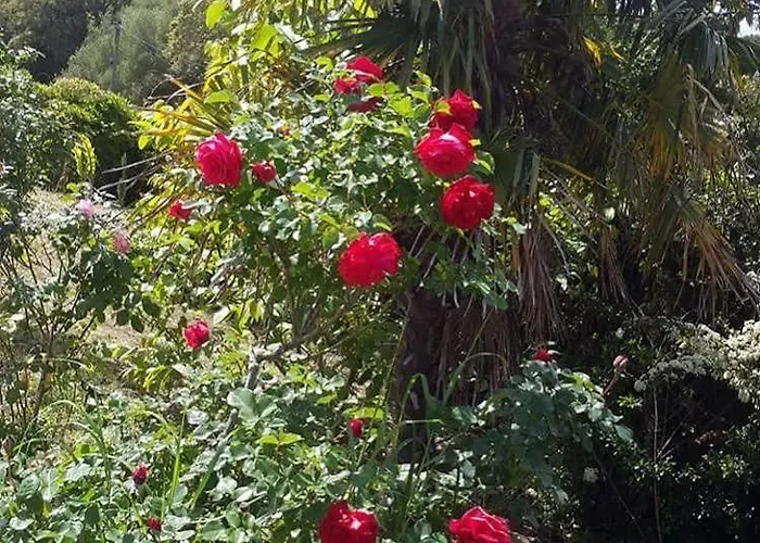 Hacienda La Demeure